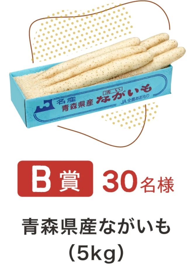 青森県産ながいも（5kg）